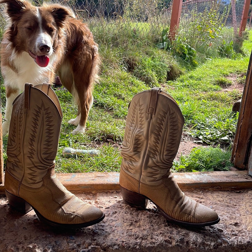 Dan Post retro snakeskin leather cowboy western boots